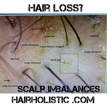 Load image into Gallery viewer, Detox Shampoo- Clarifying